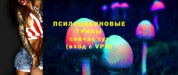 гидропоника Богородицк