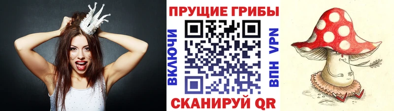 Псилоцибиновые грибы GOLDEN TEACHER  Велиж 